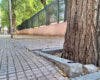 Alcalá de Henares invierte 140.000 euros en la mejora del entorno del colegio Santos Niños