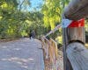 Alcalá de Henares renovará el vallado del paseo del río Henares en Nueva Alcalá
