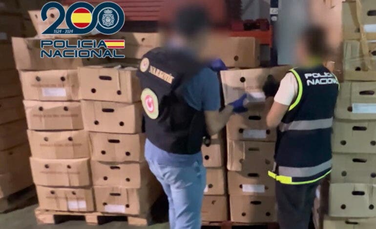 Cae una red internacional que ocultaba 89 kilos de cocaína en Rivas y Arganda