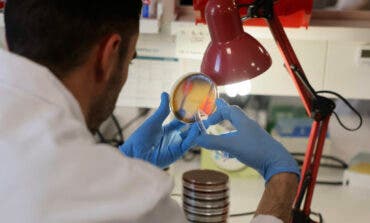 La Comunidad de Madrid detecta el primer caso de viruela del mono de tipo clado 1b por transmisión autóctona