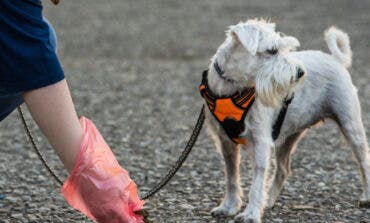 Torrejón lanza una campaña especial de control de excrementos caninos con multas de 300 euros