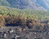 Controlado el incendio forestal de Peñalba de la Sierra en Guadalajara