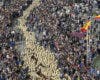 Más de 1.300 ovejas y cabras volverán a tomar el centro de Madrid este domingo en la Fiesta de la Trashumancia