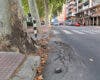 Alcalá de Henares aprueba la mejora de Caballería Española con una inversión de más de 76.000 euros