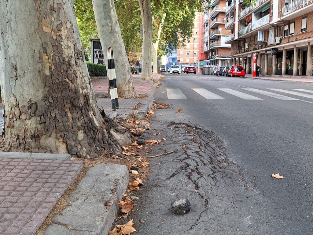 Alcalá de Henares aprueba la mejora de Caballería Española con una inversión de más de 76.000 euros