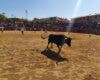 Mejorada del Campo celebra las Fiestas del Pilar con encierros, orquesta y humor amarillo