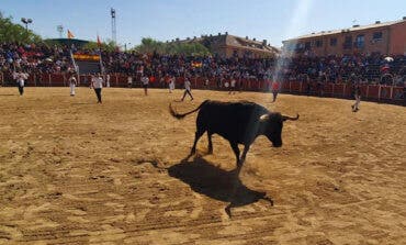 Mejorada del Campo celebra las Fiestas del Pilar con encierros, orquesta y humor amarillo