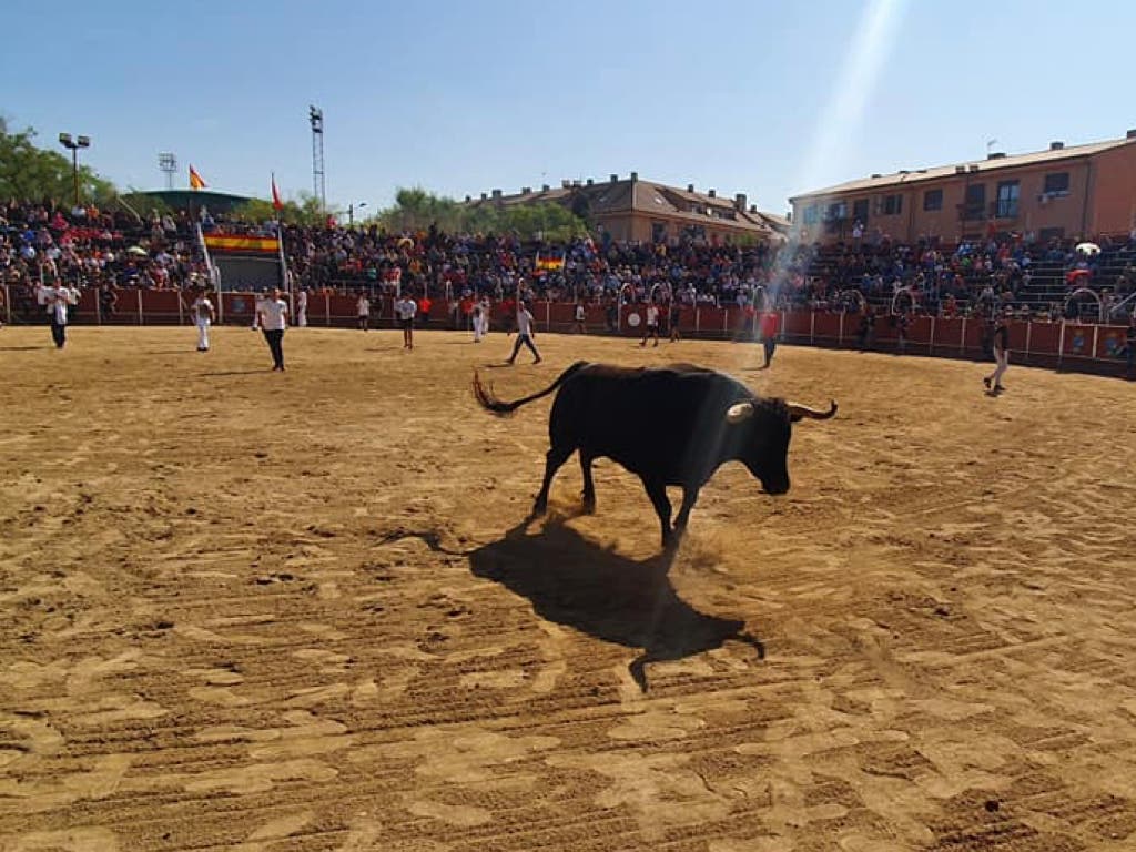 Mejorada del Campo celebra las Fiestas del Pilar con encierros, orquesta y humor amarillo