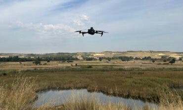 El Parque Regional del Sureste, refugio de 50 parejas de garza imperial y 65 de aguilucho lagunero identificadas por drones