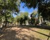 Alcalá de Henares renovará la Plaza Príncipe Carlos y la Avenida de Roma con una inversión de 278.000 euros