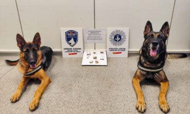 La Unidad Canina de la Policía de Torrejón realizó 13 incautaciones de droga en las piscinas este verano