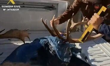 Un detenido y varios investigados por caza furtiva en el Monte de El Pardo y en Torrejón de Ardoz