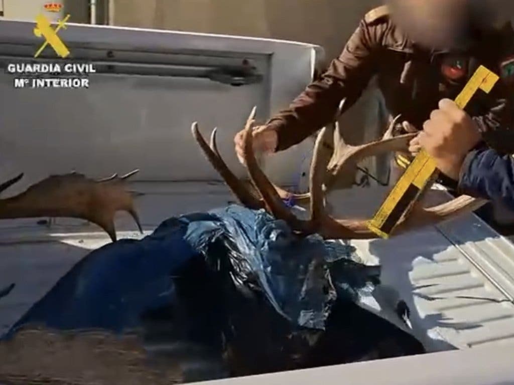 Un detenido y varios investigados por caza furtiva en el Monte de El Pardo y en Torrejón de Ardoz