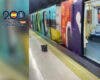 Detenidos 19 grafiteros por causar daños en vagones del Metro de Madrid la noche de Halloween