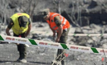 El 92 % de los incendios forestales en Madrid fueron provocados y hay 21 autores identificados