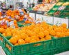 Mercadona arranca la campaña nacional de la naranja con 131.000 toneladas