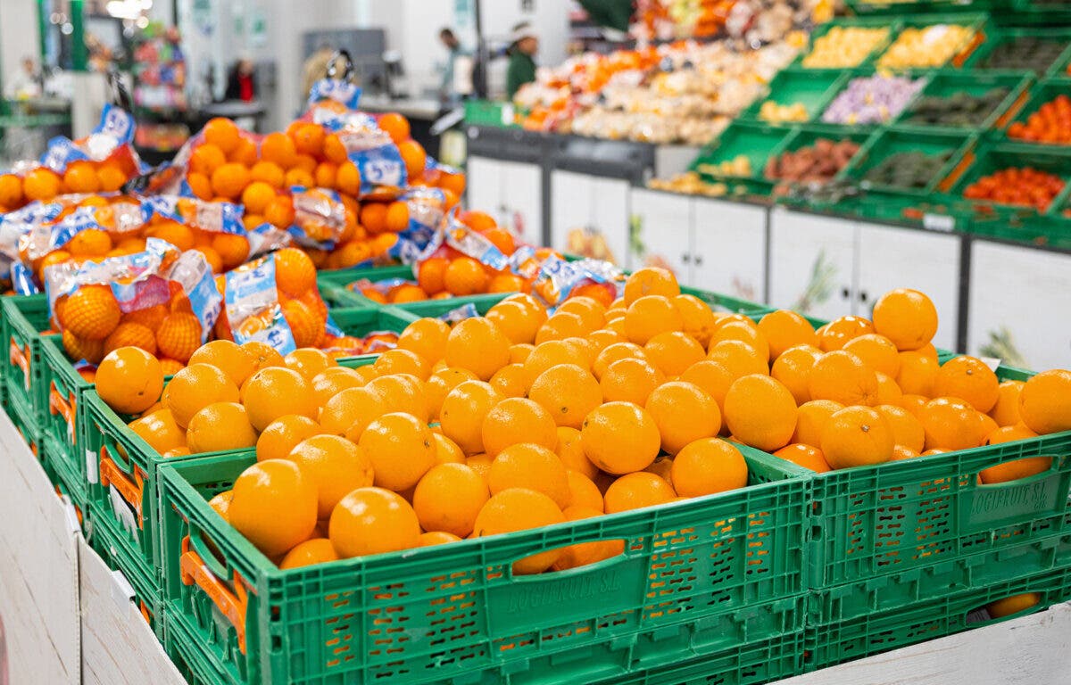 Mercadona arranca la campaña nacional de la naranja con 131.000 toneladas