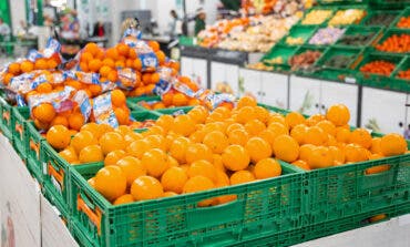 Mercadona arranca la campaña nacional de la naranja con 131.000 toneladas