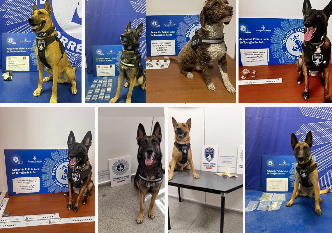 La Unidad Canina de Torrejón incauta cocaína, hachís y metanfetamina en distintos puntos de la ciudad