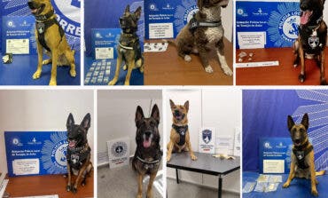 La Unidad Canina de Torrejón incauta cocaína, hachís y metanfetamina en distintos puntos de la ciudad