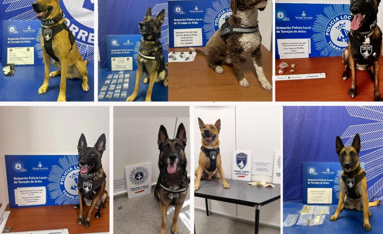 La Unidad Canina de Torrejón incauta cocaína, hachís y metanfetamina en distintos puntos de la ciudad