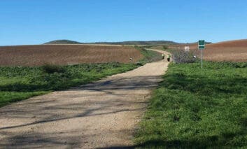 Valdeavero y Torres de la Alameda se coronan como los municipios más andarines de Madrid en la Liga Actívate