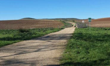 Valdeavero y Torres de la Alameda se coronan como los municipios más andarines de Madrid en la Liga Actívate
