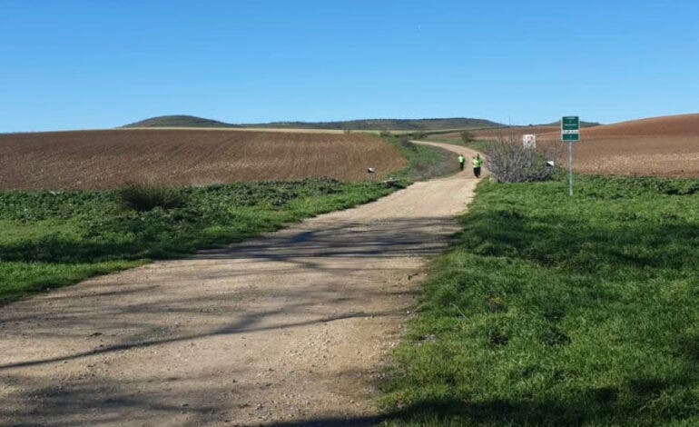 Valdeavero y Torres de la Alameda se coronan como los municipios más andarines de Madrid en la Liga Actívate