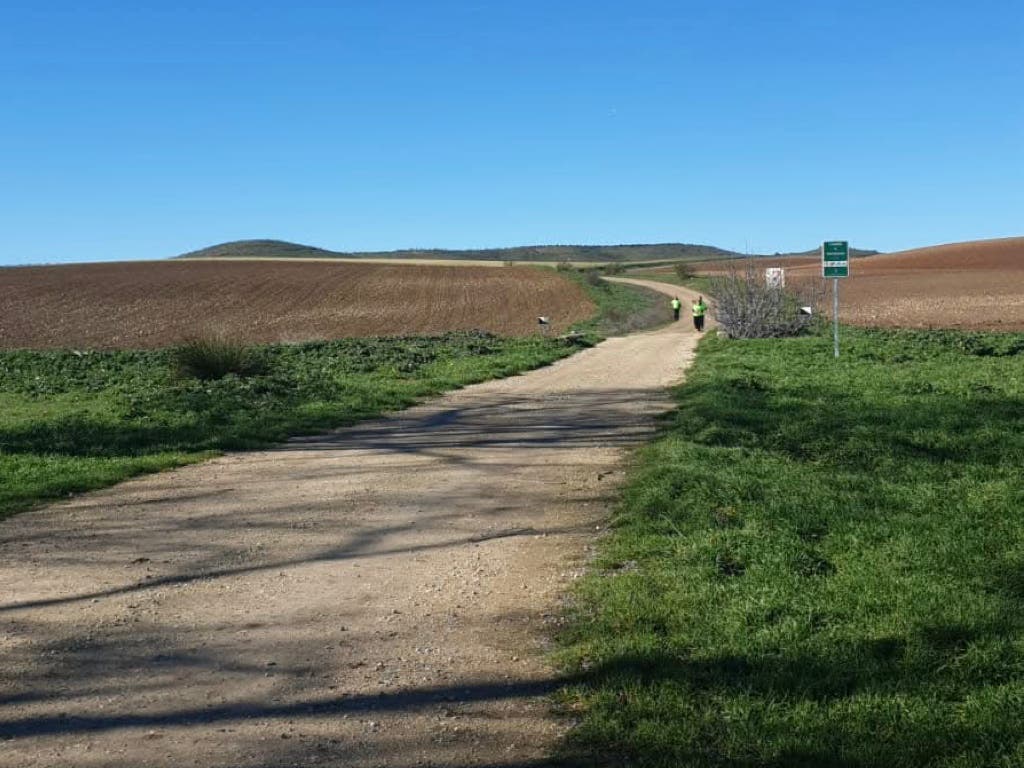 Valdeavero y Torres de la Alameda se coronan como los municipios más andarines de Madrid en la Liga Actívate