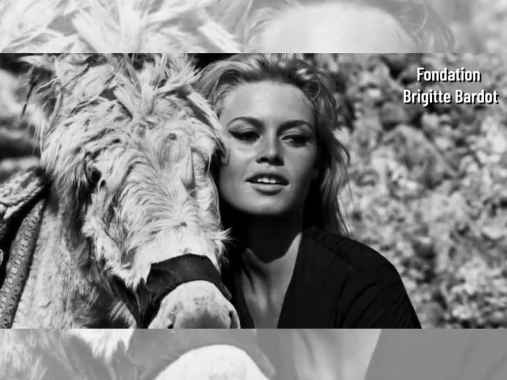 Muere Brigitte Bardot, leyenda del cine francés, a los 91 años