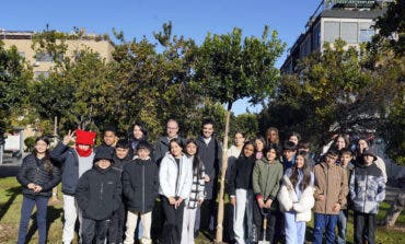 Escolares de Torrejón plantan el madroño número 47 por el aniversario de la Constitución