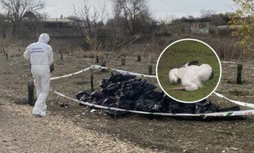 Ecologistas exigen responsabilidades por la gestión del brote de gripe aviar en el Parque Regional del Sureste