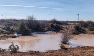 Ecologistas alertan del impacto de cinco macrogranjas con más de 400.000 gallinas en Guadalajara