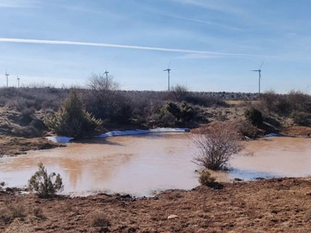 Ecologistas alertan del impacto de cinco macrogranjas con más de 400.000 gallinas en Guadalajara