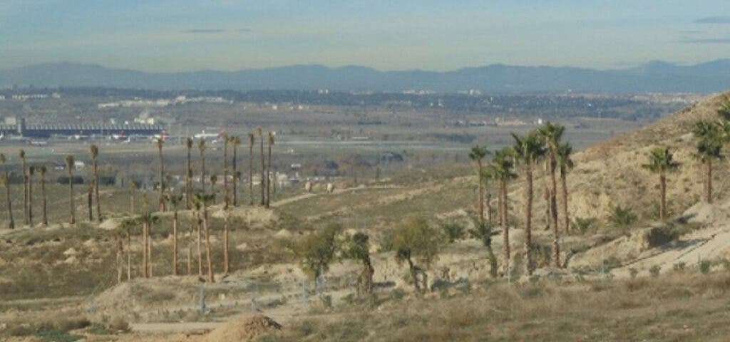 Ecologistas denuncian que un particular se ha apropiado de parcelas municipales en Paracuellos «ante la inacción del Ayuntamiento»