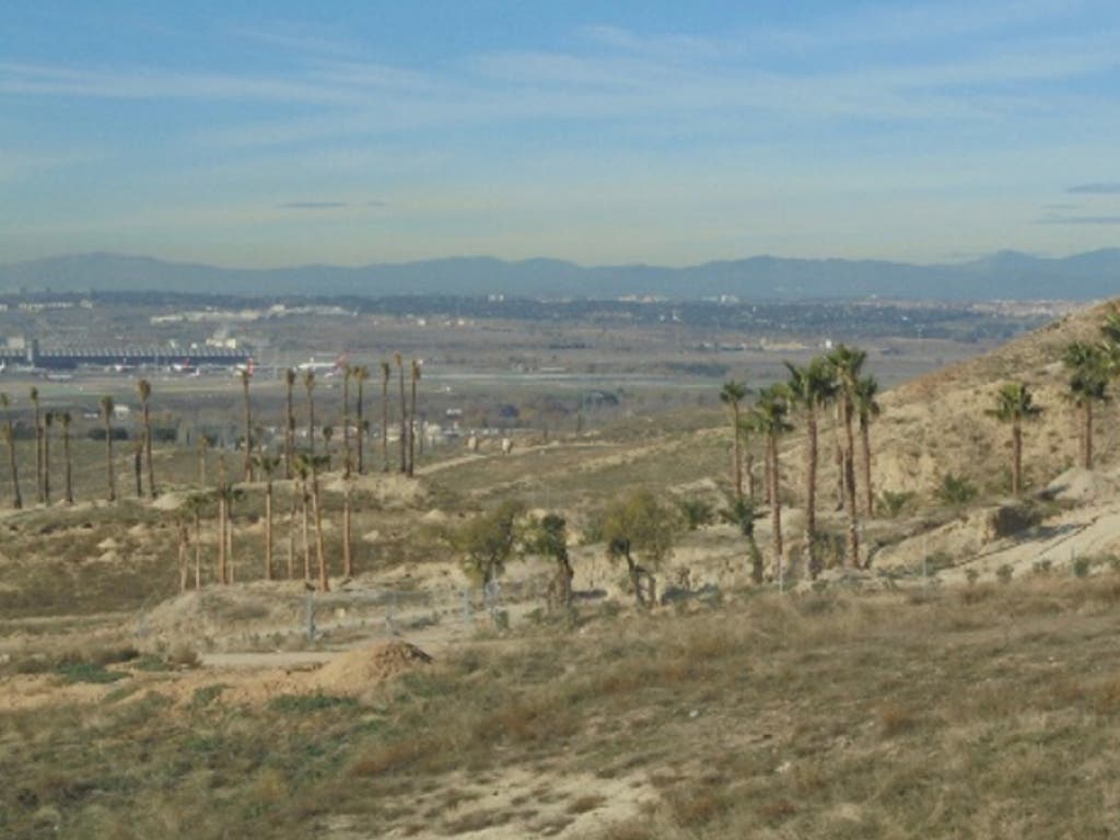 Ecologistas denuncian que un particular se ha apropiado de parcelas municipales en Paracuellos «ante la inacción del Ayuntamiento»