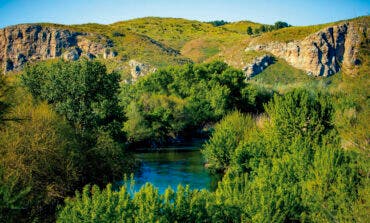 Rivas lanza recomendaciones ante el foco de gripe aviar detectado en el entorno del Manzanares