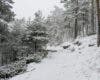 Activado el aviso amarillo por nevadas en la Comunidad de Madrid desde la próxima madrugada: se esperan hasta 5 cm en la Sierra