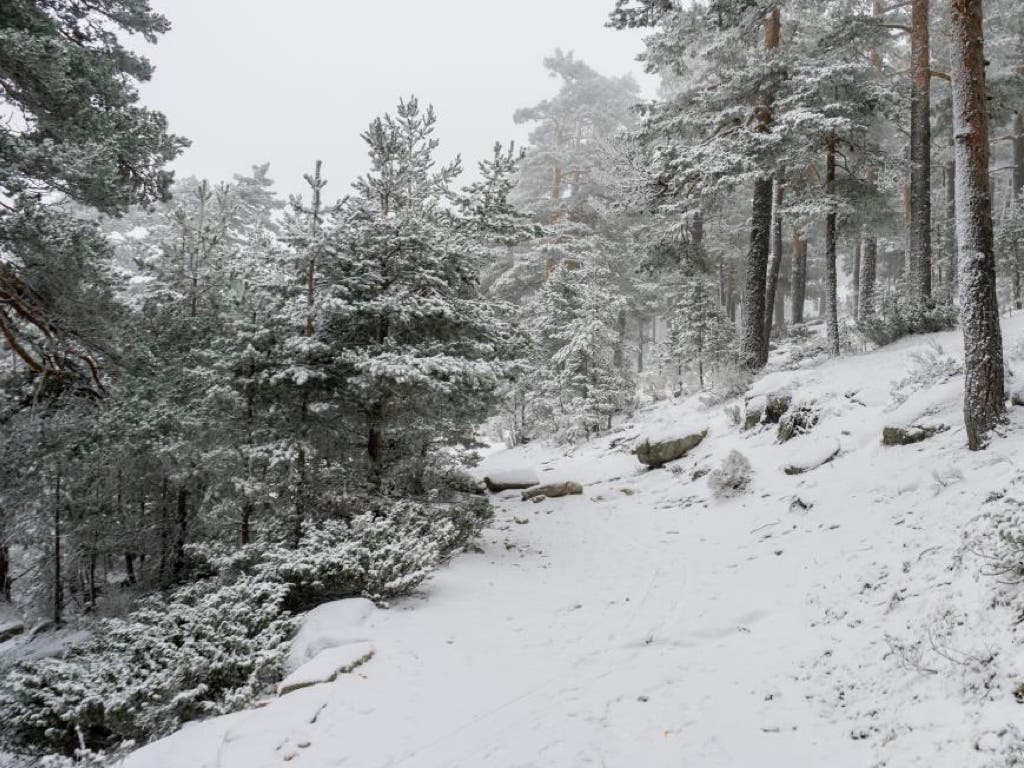 Aviso amarillo por nevadas este domingo en la Sierra de Madrid: se esperan hasta 10 centímetros de nieve