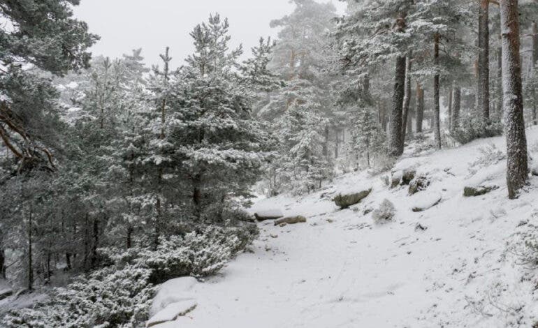 Aviso amarillo por nevadas este domingo en la Sierra de Madrid: se esperan hasta 10 centímetros de nieve