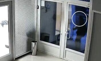 El PSOE de Guadalajara denuncia ante la Policía Nacional un ataque violento a su sede provincial