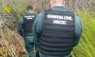 Buscan en Cenicientos a un hombre de 63 años desaparecido tras salir a por leña