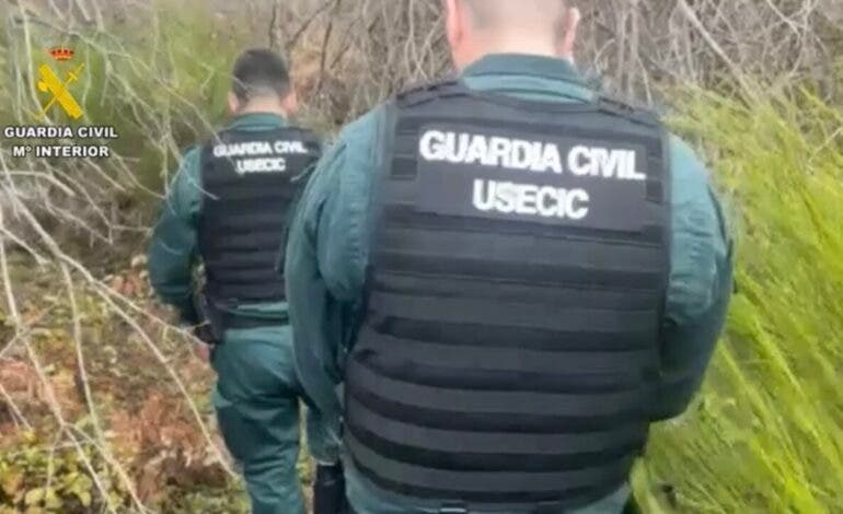 Buscan en Cenicientos a un hombre de 63 años desaparecido tras salir a por leña