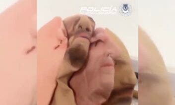 Detenidos en Madrid dos hombres con droga, sin carné y caretas de silicona para cometer atracos