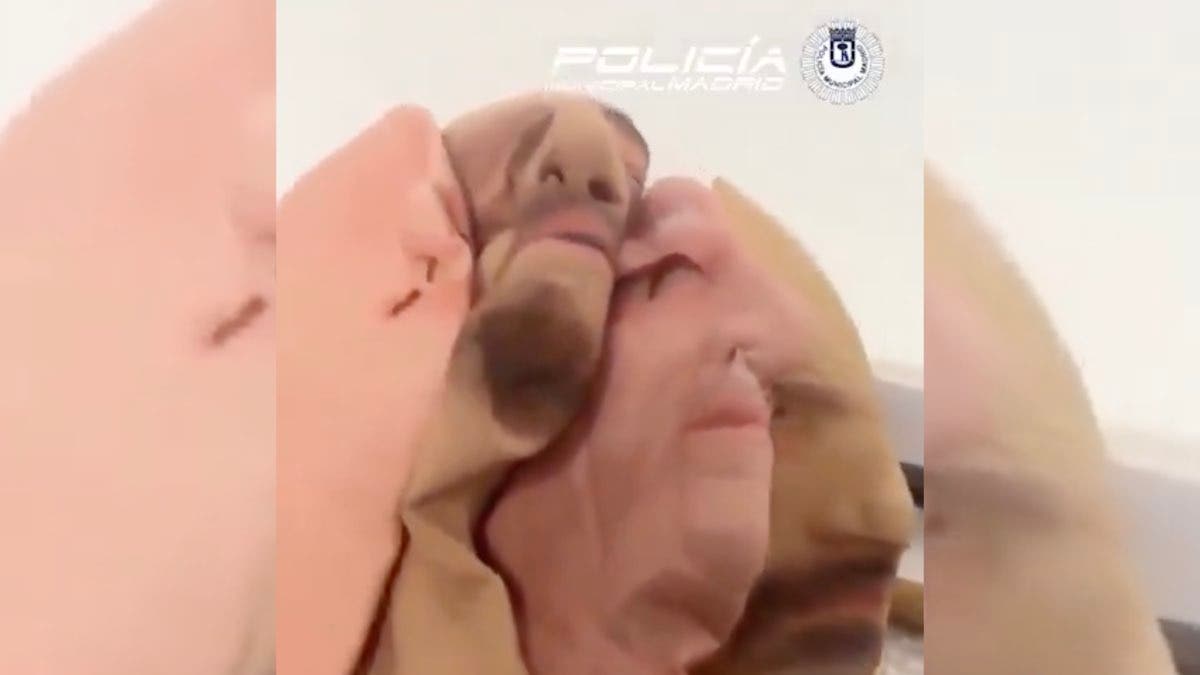 Detenidos en Madrid dos hombres con droga, sin carné y caretas de silicona para cometer atracos