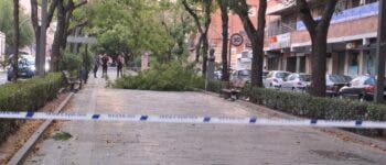 Guadalajara decreta el cierre de parques ante el aviso amarillo por nieve y viento para este miércoles