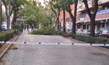 Guadalajara decreta el cierre de parques ante el aviso amarillo por nieve y viento para este miércoles