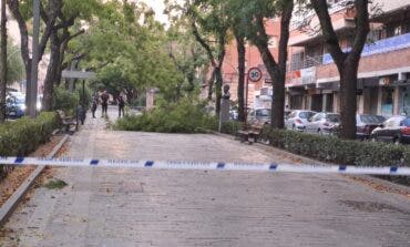 Guadalajara decreta el cierre de parques ante el aviso amarillo por nieve y viento para este miércoles