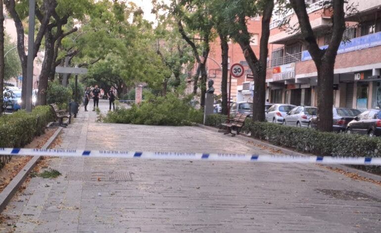 Guadalajara decreta el cierre de parques ante el aviso amarillo por nieve y viento para este miércoles