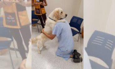 El Hospital del Henares mejora la experiencia del paciente oncológico con música, teatro e intervención con perros